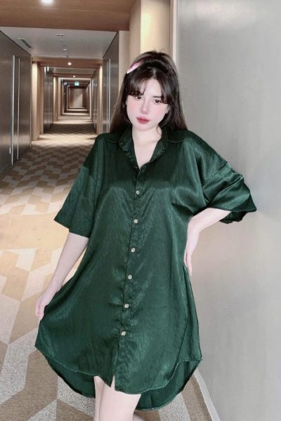 Button down shirt dress